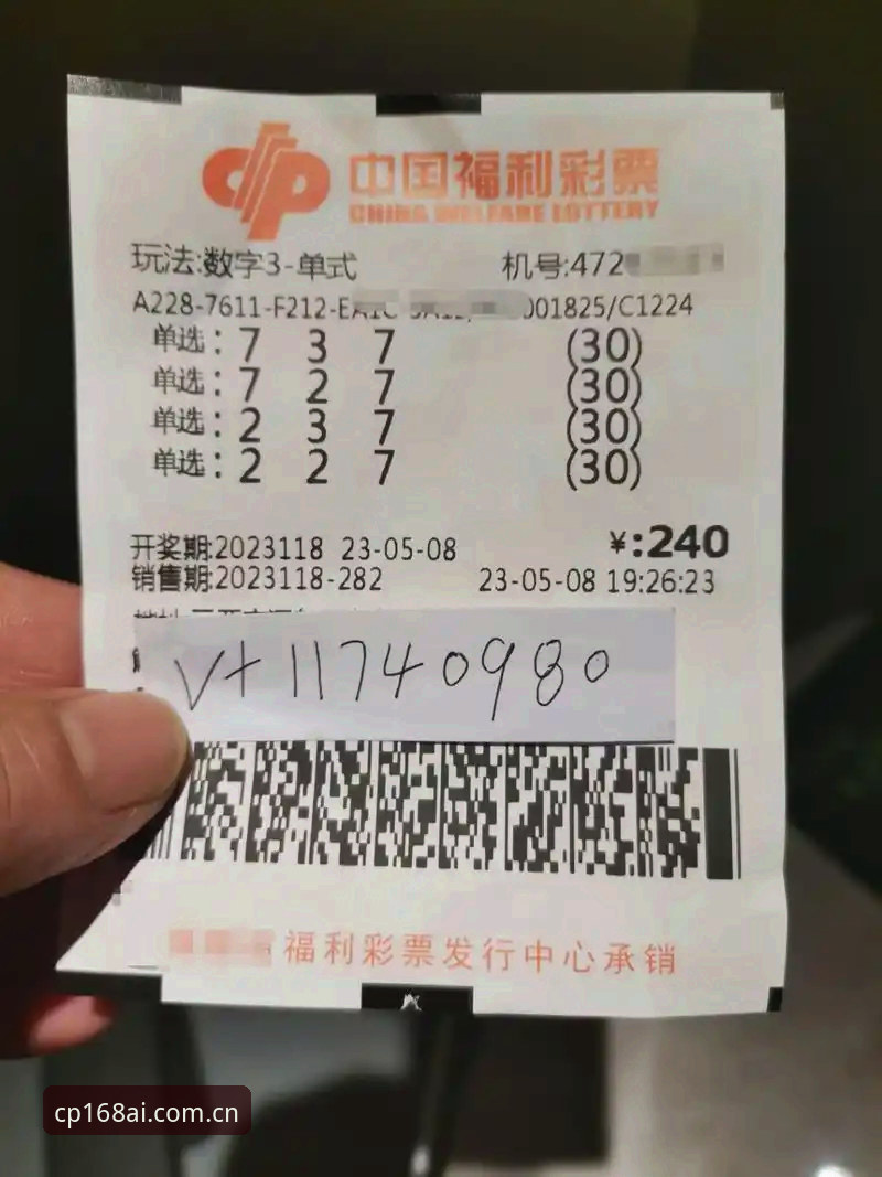 彩票极速版深度评测：168彩票平台新手入门与官方版下载体验